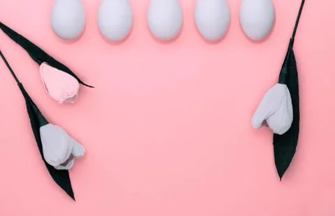 Easter white eggs in row and flowers tulips on pink background. From above Stock Photos