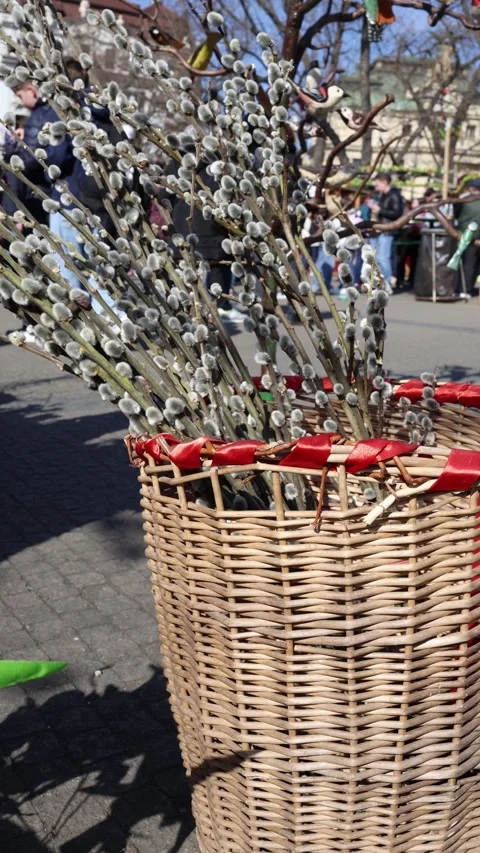 Easter willow branches in basket Vídeos de archivo 331812051