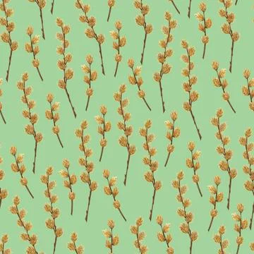 Easter willow seamless pattern. Watercolor spring background for design of... Stock Photos