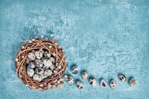Easter willow wreath and Easter quail eggs on blue background. Top view, copy Stock Photos