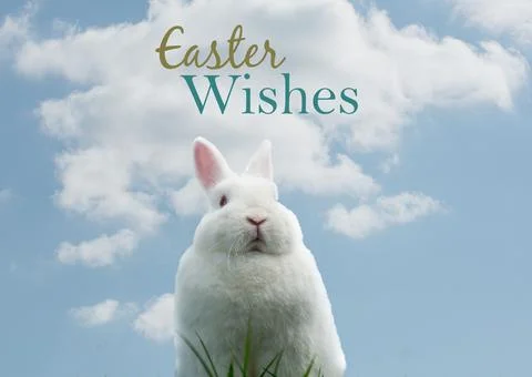 Easter wishes text with easter bunny over clouds in background Stockfoto's
