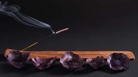 Eastern aromatherapy. Dry flowers and steaming incense on a dark background Stockbeeldmateriaal 125641503