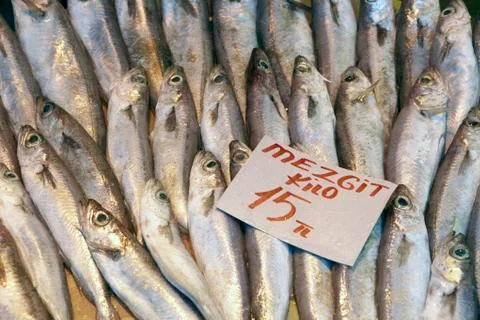 Eastern bazaar - fresh fish Stock Photos