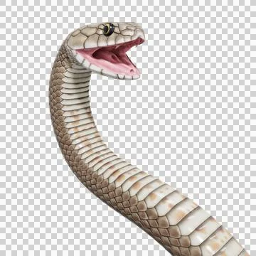 Eastern Brown Snake Pose Stock Illustration