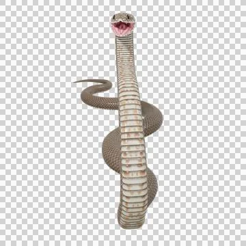 Eastern Brown Snake Pose Illustrazione stock