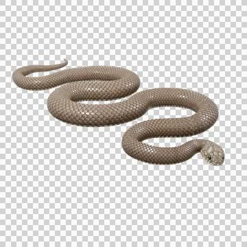 Eastern Brown Snake Pose Stock-Illustration