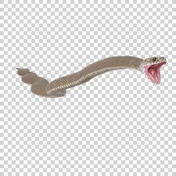 Eastern Brown Snake Pose Stock-Illustration