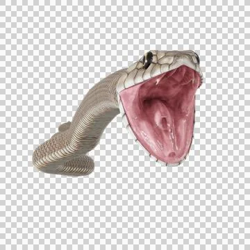 Eastern Brown Snake Pose Stock-Illustration