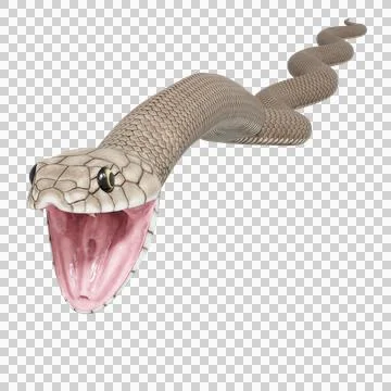 Eastern Brown Snake Pose Illustrazione stock