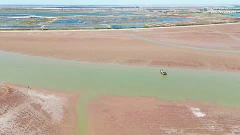Eastern Coast Tidal Flats Expansive Coastal Patterns Aerial Stock Footage 320614701