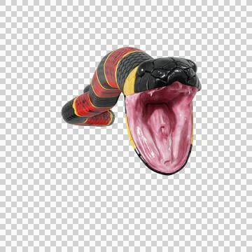 Eastern Coral Snake Pose Stock-Illustration