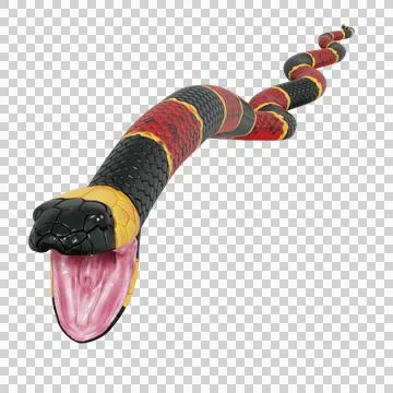 Eastern Coral Snake Pose Stock Illustration