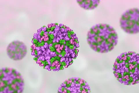 Eastern equine encephalitis virus Illustrazione stock