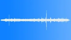 Eastern Flying Squirrel CUSound Effect