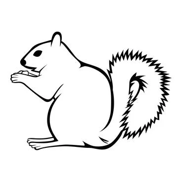 Eastern Gray Squirrel, Sciurus carolinensis simple style black and white vector Stock Illustration