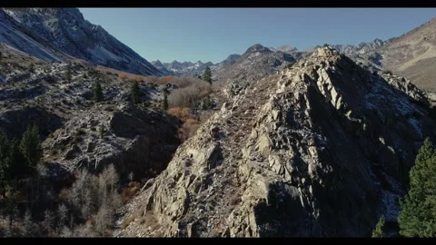 Eastern High Sierras Fly By Mountain Pine Trees Above Bishop Stock Footage 147233683