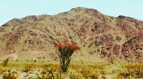 Eastern Joshua Tree National Park Vista 4 Stock Footage