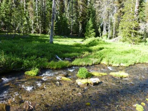 Eastern Oregon River front Stock Photos