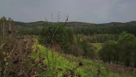 Eastern Sayan Stock Footage 81663994