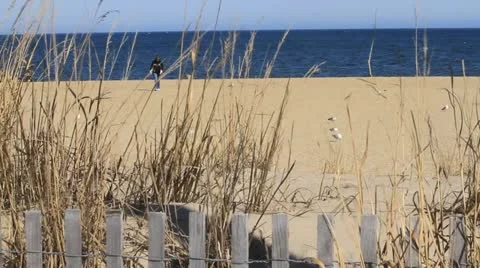 Eastern seaboard beach Stock Footage 10828208