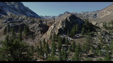 Eastern  Sierras Mountain Pine Trees Above Bishop Vídeo Stock 147233628