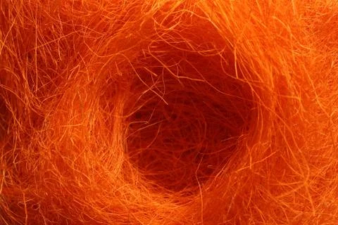 Easternest with orange eastergrass Stock Photos