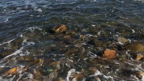 EastHamptom6 Stock Footage 83057439