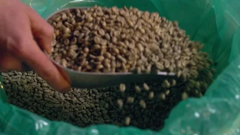 Ьeasure Green coffee beans slow motion Stockbeeldmateriaal 144890741