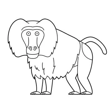 Easy coloring cartoon vector illustration of a baboon Hamadryas or Sacred B.. Stock Illustration