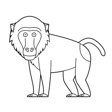 Easy coloring cartoon vector illustration of a baboon isolated on white bac.. Stock Illustration