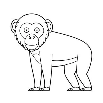 Easy coloring cartoon vector illustration of a chimpanzee isolated on white.. Stock Illustration