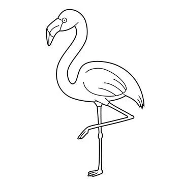 Easy coloring cartoon vector illustration of a flamingo kangaroo isolated o.. Stock Illustration