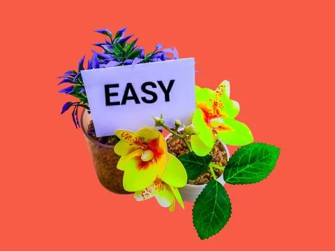 Easy concept with artificial flower trees and words 스톡 사진