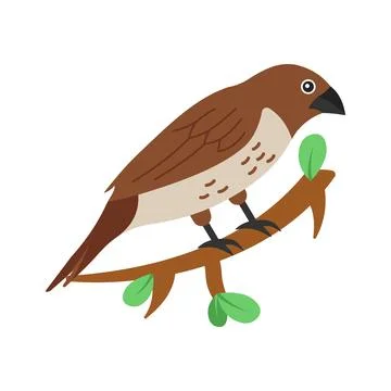 Easy to flat vector of brown munia bird on branch. Stock Illustration