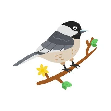 Easy to flat vector of chickadee bird on branch. Stock Illustration