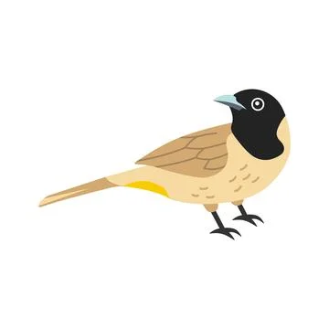 Easy to flat vector of common bulbul bird asset. Stock Illustration