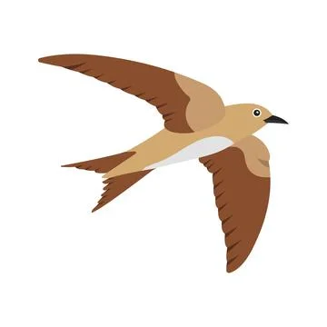 Easy to flat vector of common swift flying freely. Stock Illustration