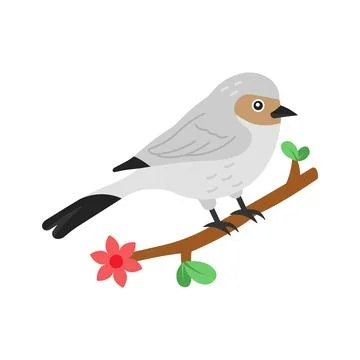 Easy to flat vector of cute bushtit on branch. Stock Illustration