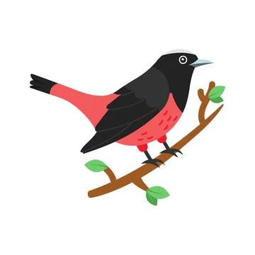 Easy to flat vector of redstart bird on branch. Stock Illustration