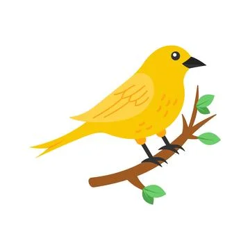 Easy to flat vector of yellow canary perched on a branch. Stock Illustration