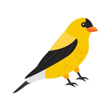 Easy to flat vector of yellow goldfinch on branch. Stock Illustration