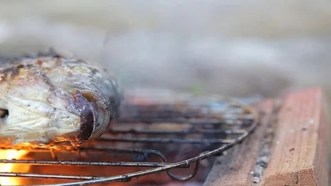 Easy grilled fish, HD video Stock Footage 80058376