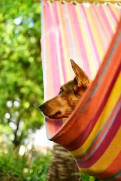 Easy life Stock Photos