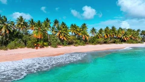 An easy walk along the Thai sandy palm beach. Sea on sand on a summer sunny day. Video stock 271583292