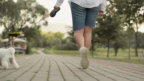 An easy walk through the summer park and the paving path, a woman leads a small Stock Footage 248179422