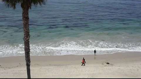 Easy Waves, Sandy Beach &amp; Palm Tree Vídeos de archivo 10751054