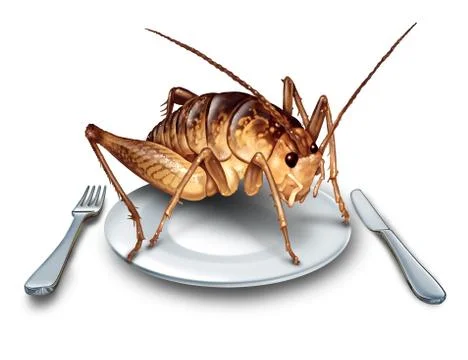 Eat Bugs Stock Illustration