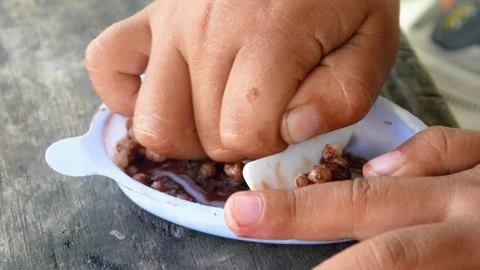 Eat chocolate Stock Footage 309582893