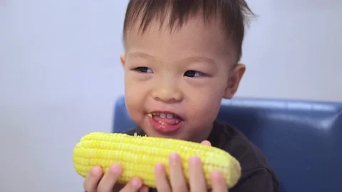 Eat corn Stockbeeldmateriaal 102477770