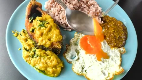 Eat egg rice Stock Footage 319942855